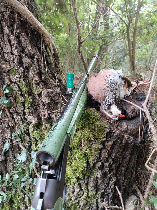 Porqué cazo con escopeta monotiro?